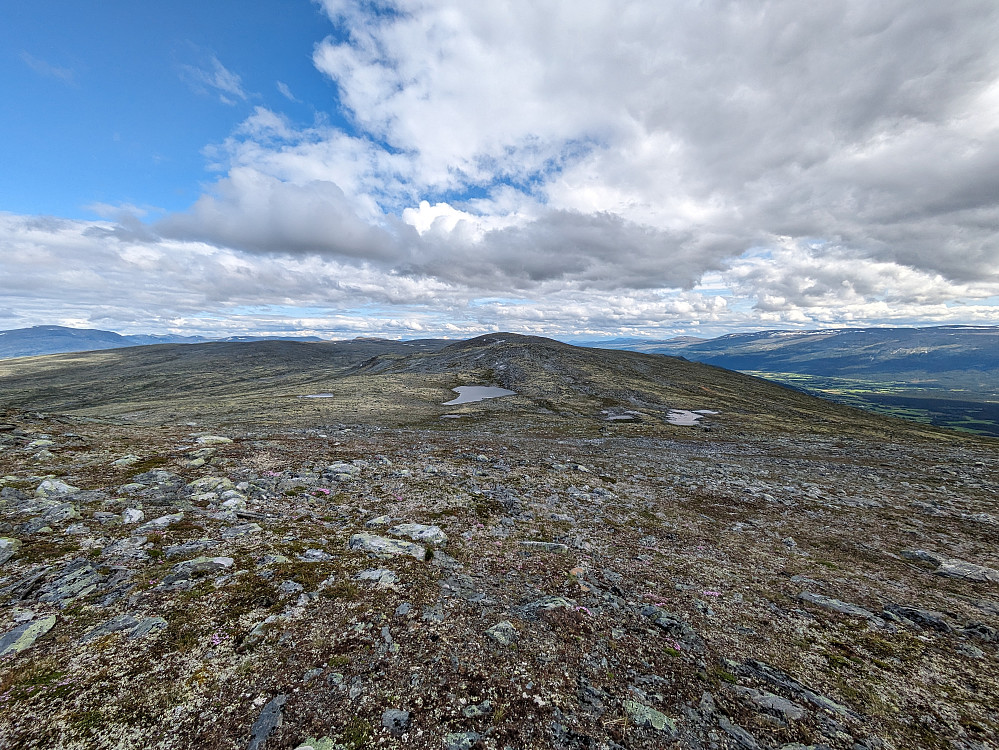 Mot nordre Sæterhøe