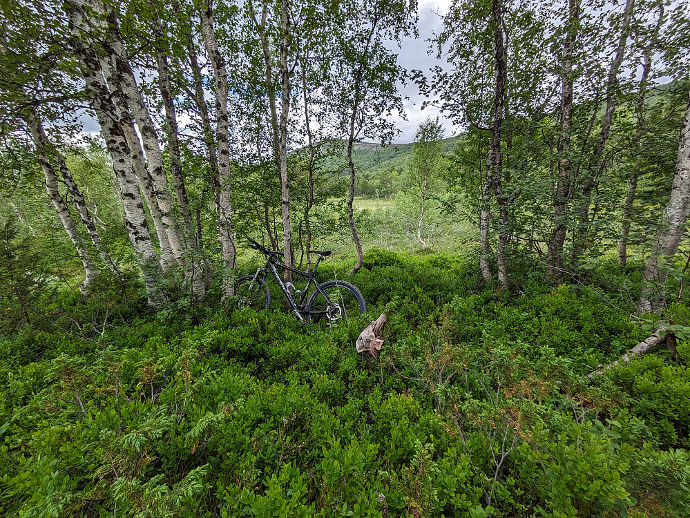 Sykkeletappe og videre på sti