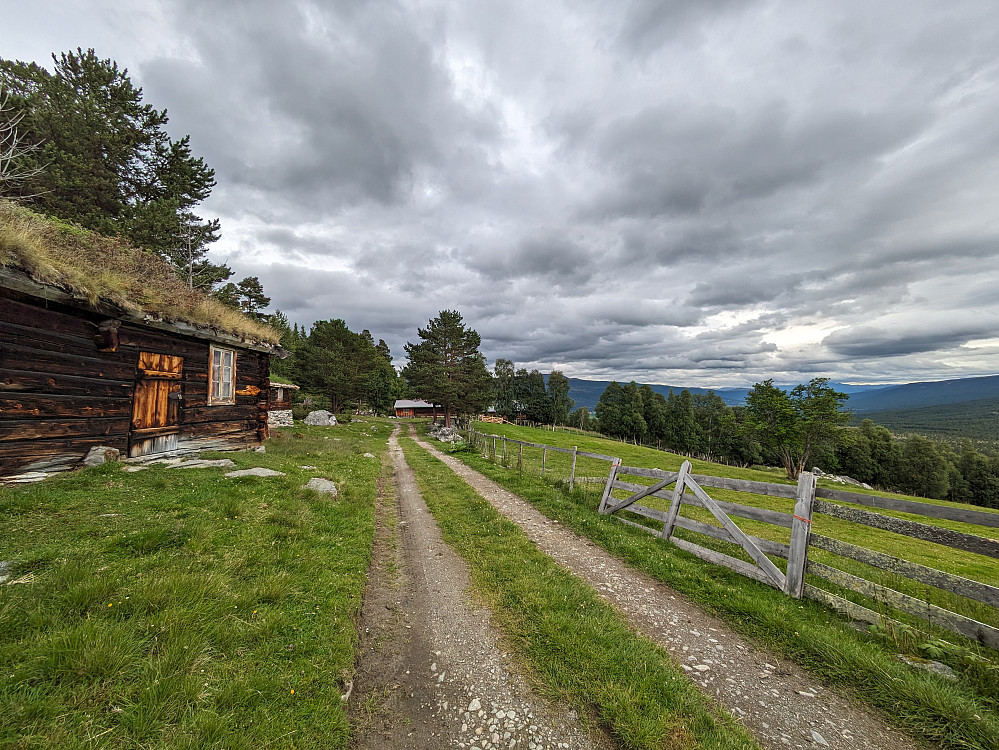 Haukrusti