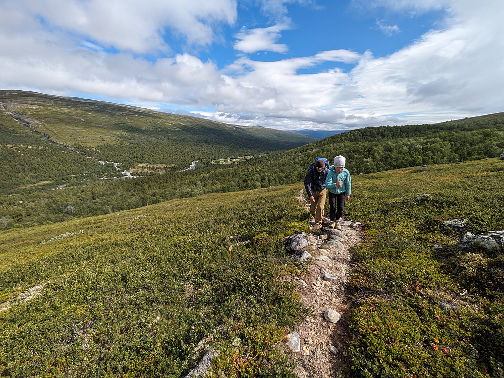På vei oppover i samlet flokk