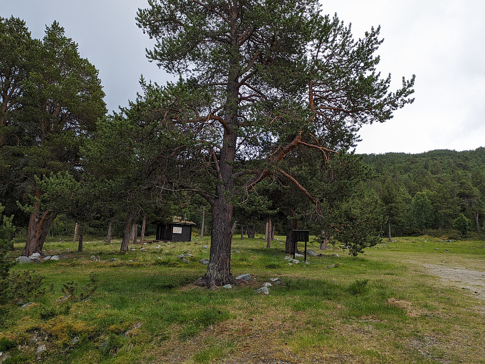 Anlagt campingplass ved Kvannbekkmyre