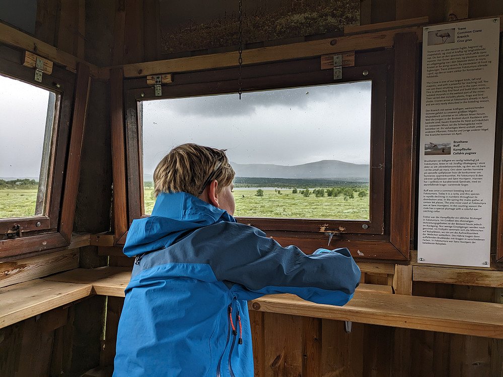 Observasjonstårnet