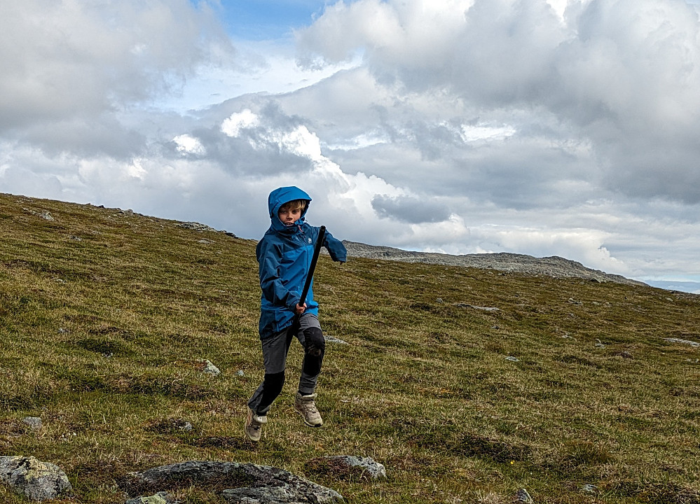 Tok med plaststikka ned og satte den ved bua på parkeringen, den ble funnet på ei myr