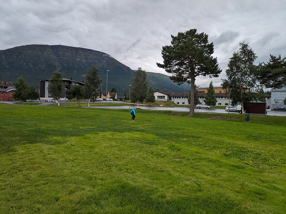 Frisbeemoro