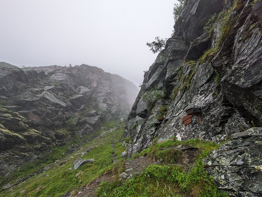 Skærryggen