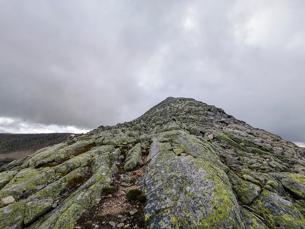 Snyddeggen