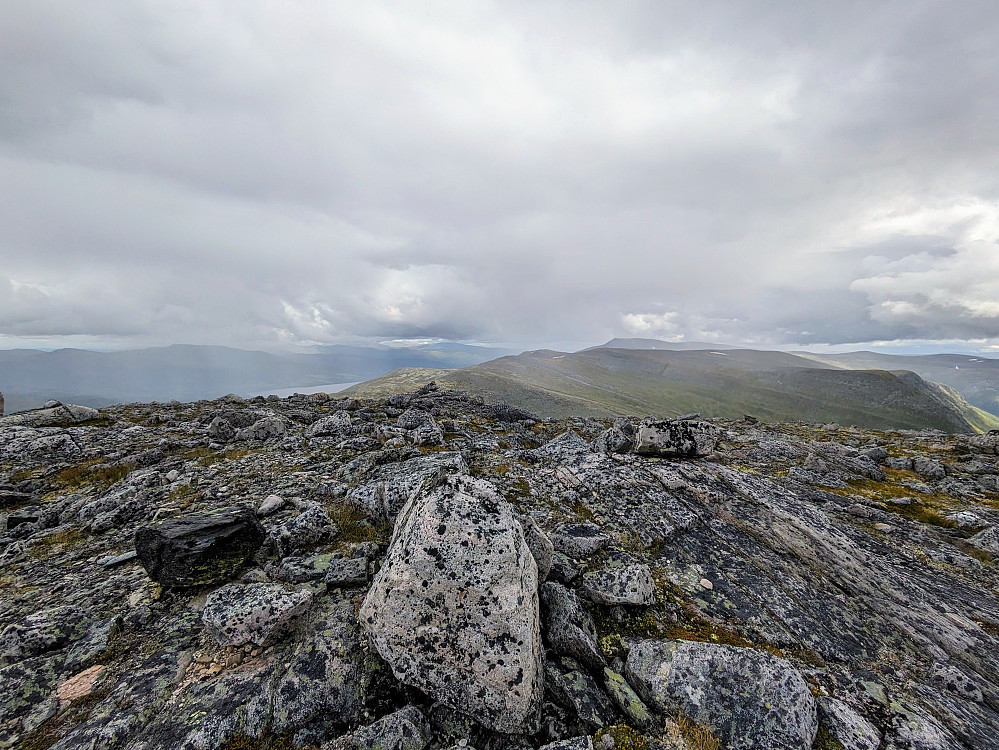Stenhøa