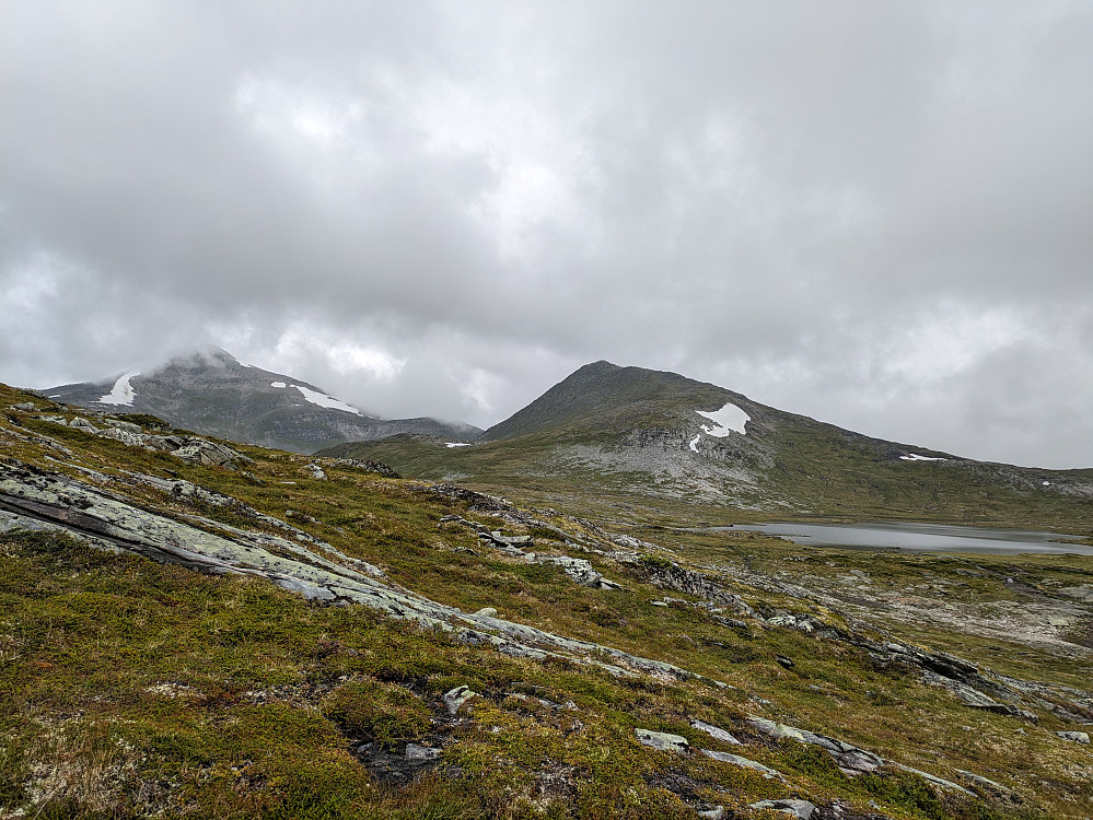 Storbekkhøa og Halsbekkkhøa