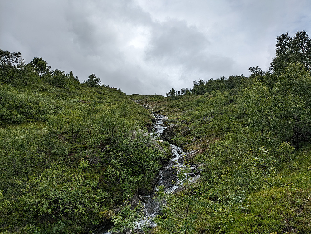 Stien opp fra Storlia