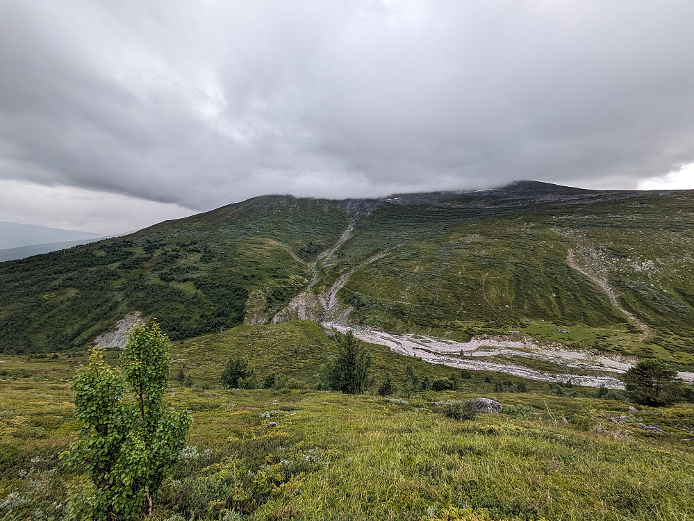 Tilbakeblikk mot Trondfjellet