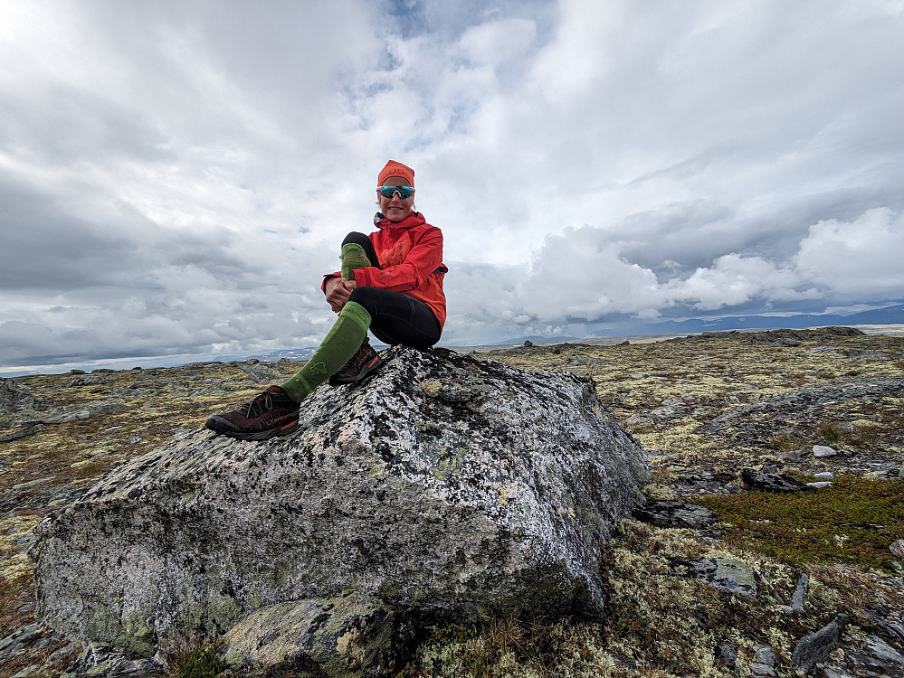 Trondfjellet