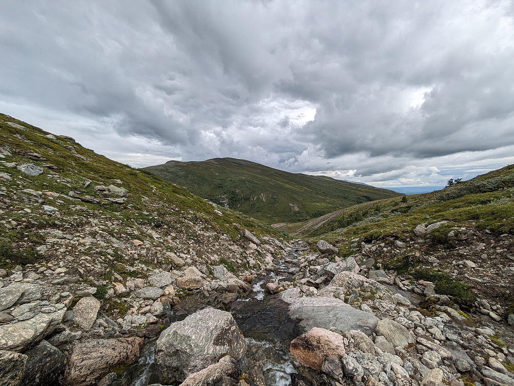 På vei mot Trondfjellet, ser mot Hornet