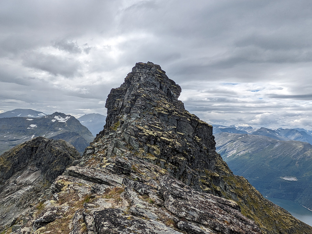 Grøvelnebba åpenbarer seg 
