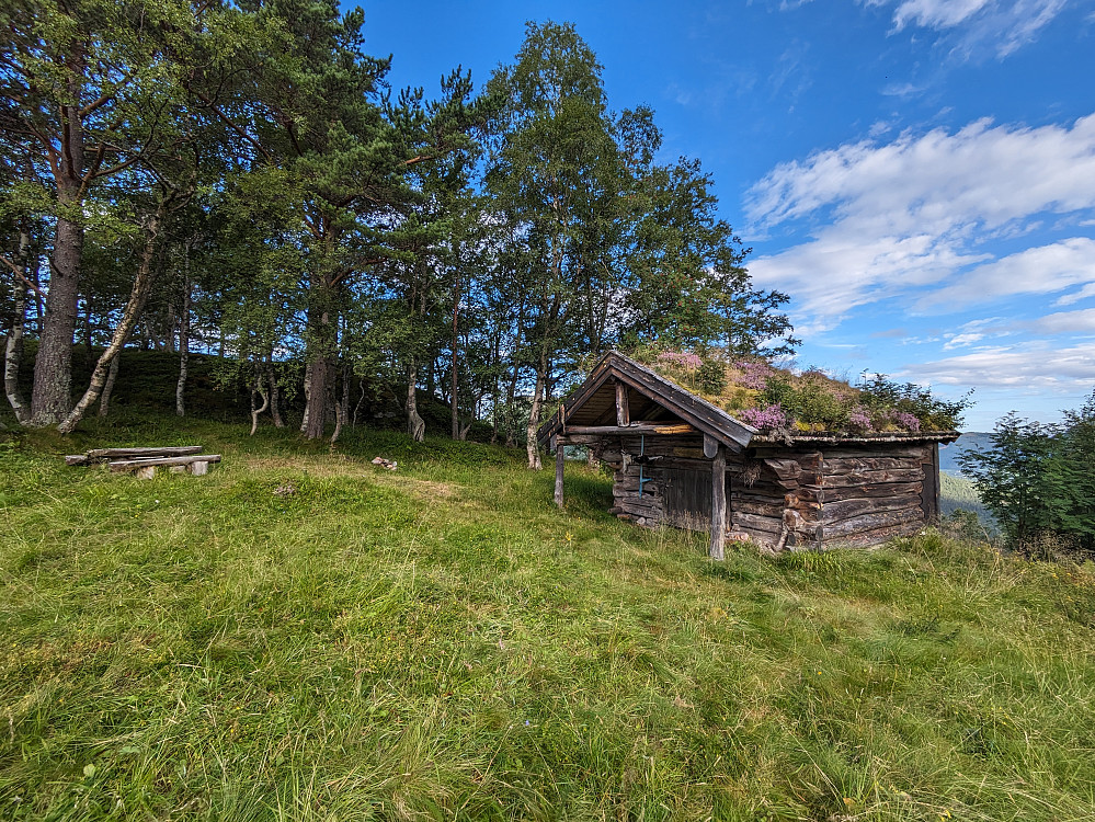 Seterhaugen 