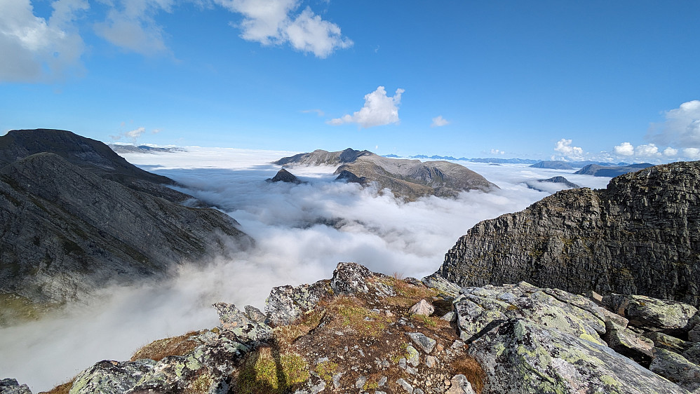 Møreskodda