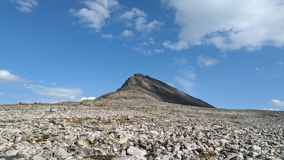 Ryggen mot Skarfjellet Nord