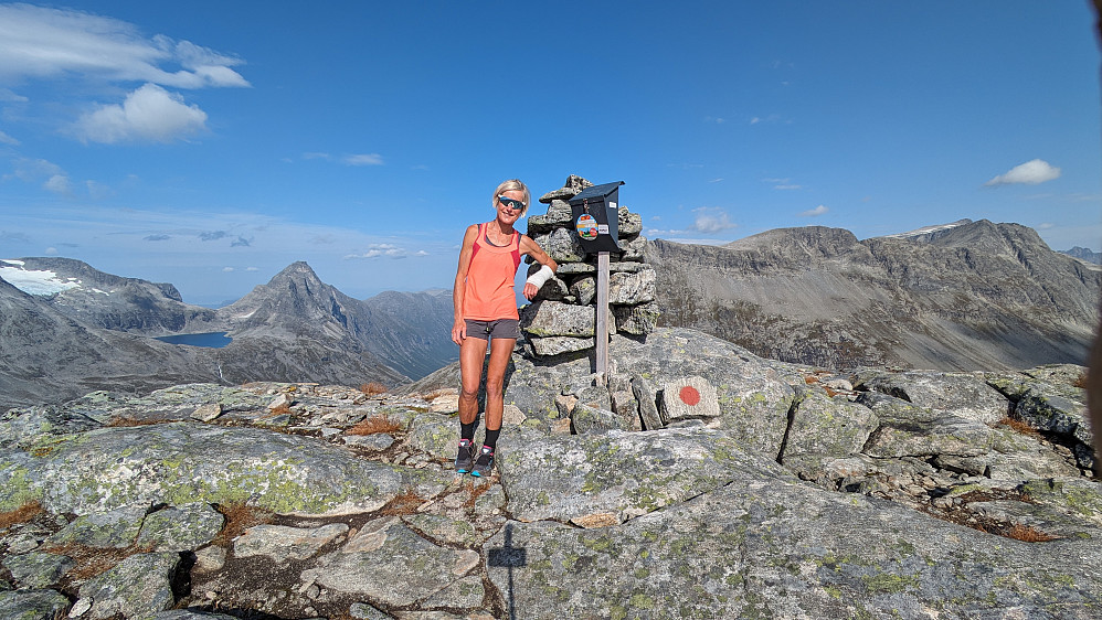 Skarfjellenden