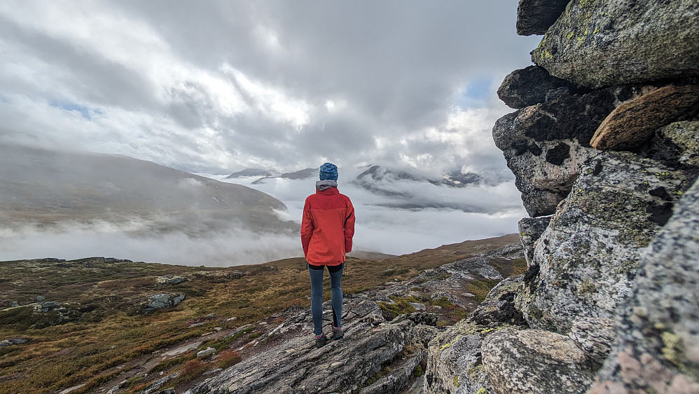 Mefjellet
