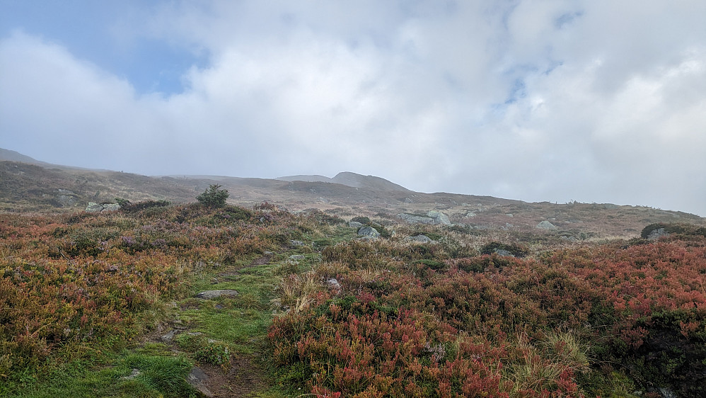 Letter endelig litt mot Mefjellet