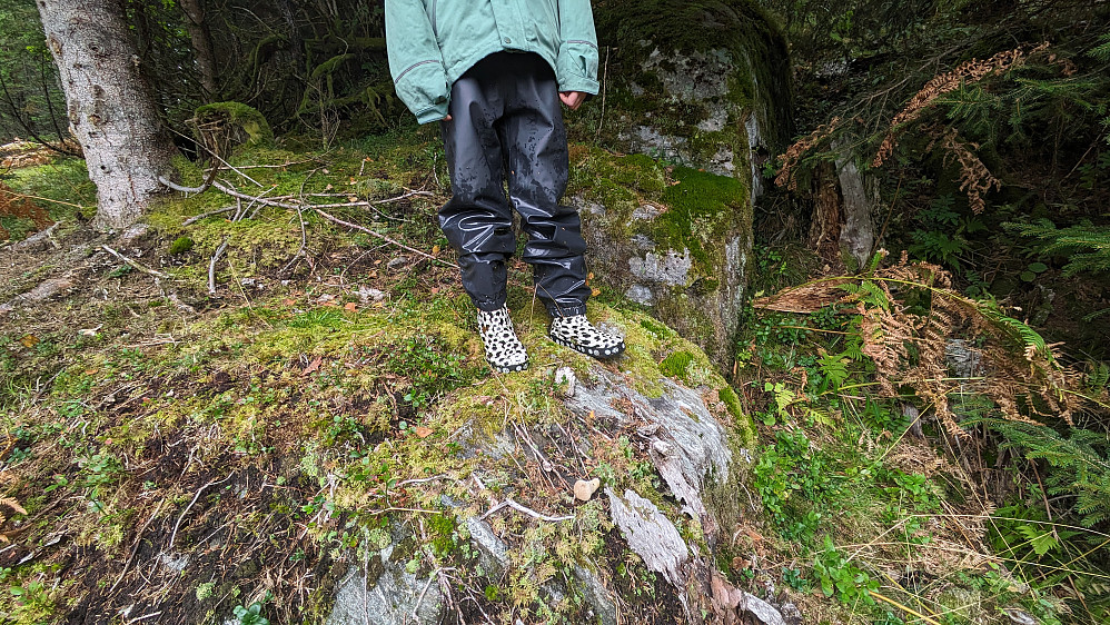 Årskog-Jo-fæte