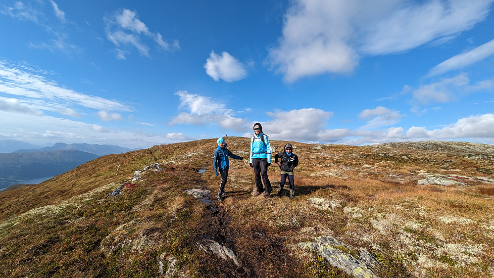 Tortenholvarden
