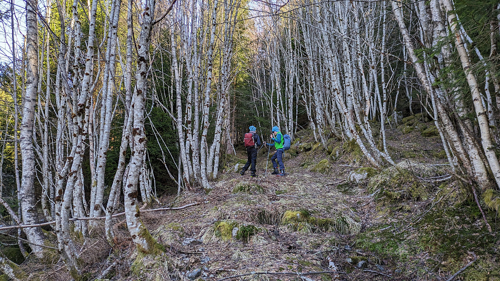 Start fra Lotsbergskåra 