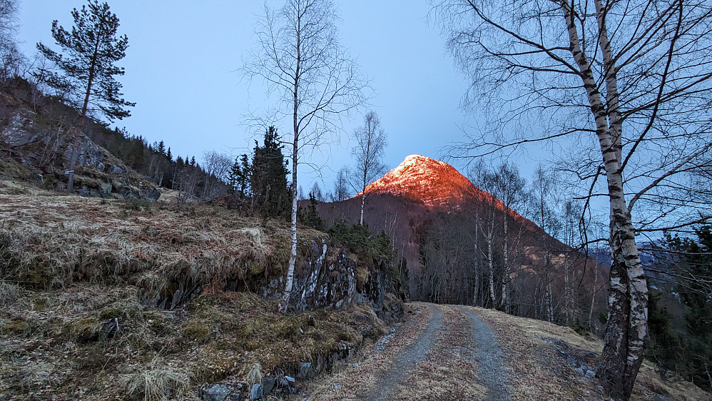 Lotsbergnibba i brann