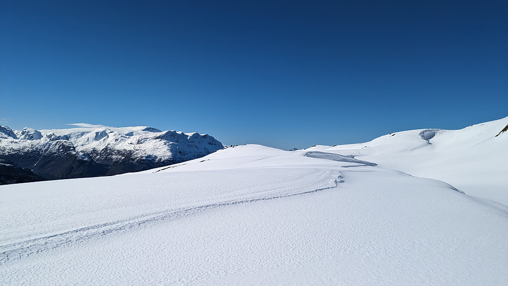 Fessevarden