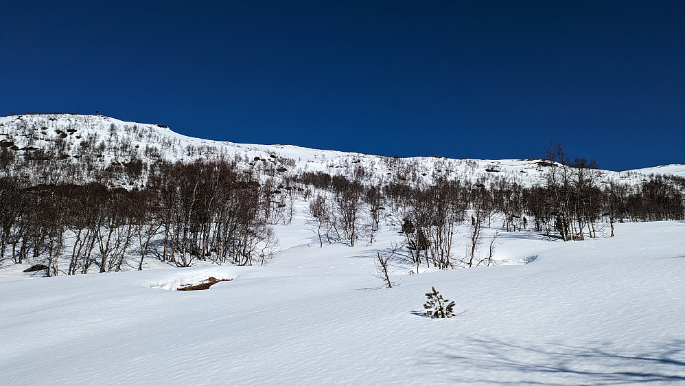 oppover mot Sagetindane
