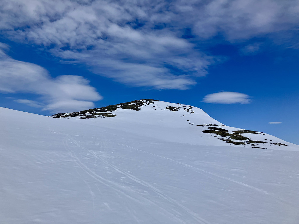 Retur fra Fødalsnosi