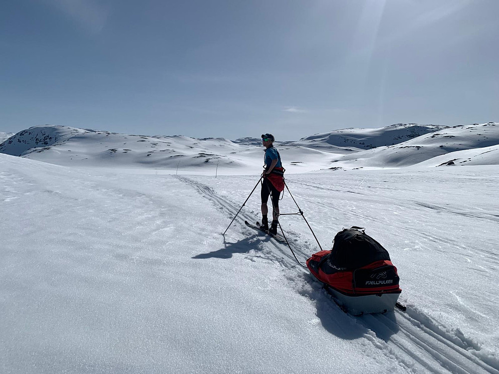 Meg med lasset