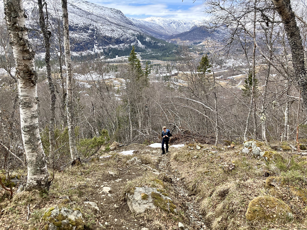 Fin sti, men endel snø enkelte steder i skogen