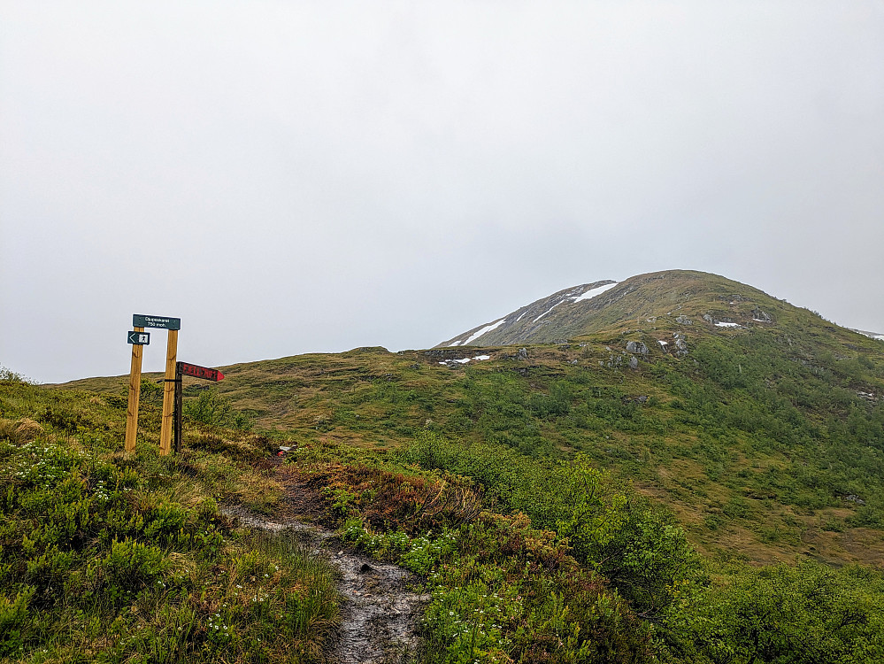 Mot Snøfjellet