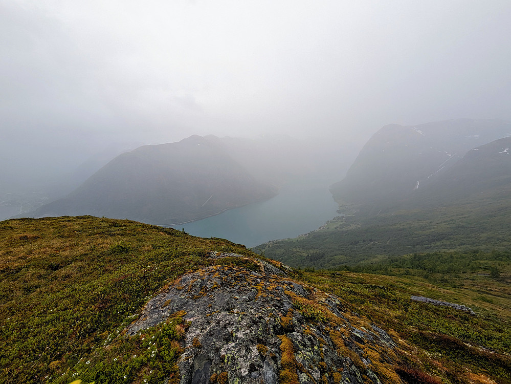 Mot Kjøsnesfjorden 
