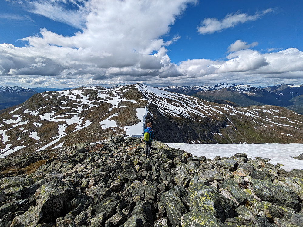 På vei fra Karifjellet mot Hestefjellsnibba