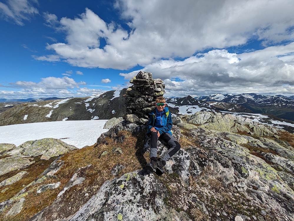 Hestefjellsnibba