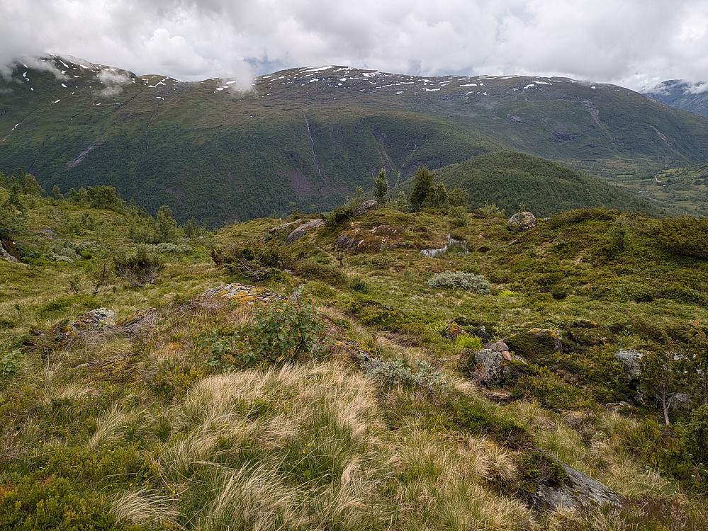 Oppover fra Drivande