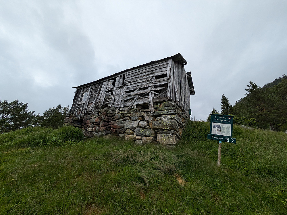 Venåsen