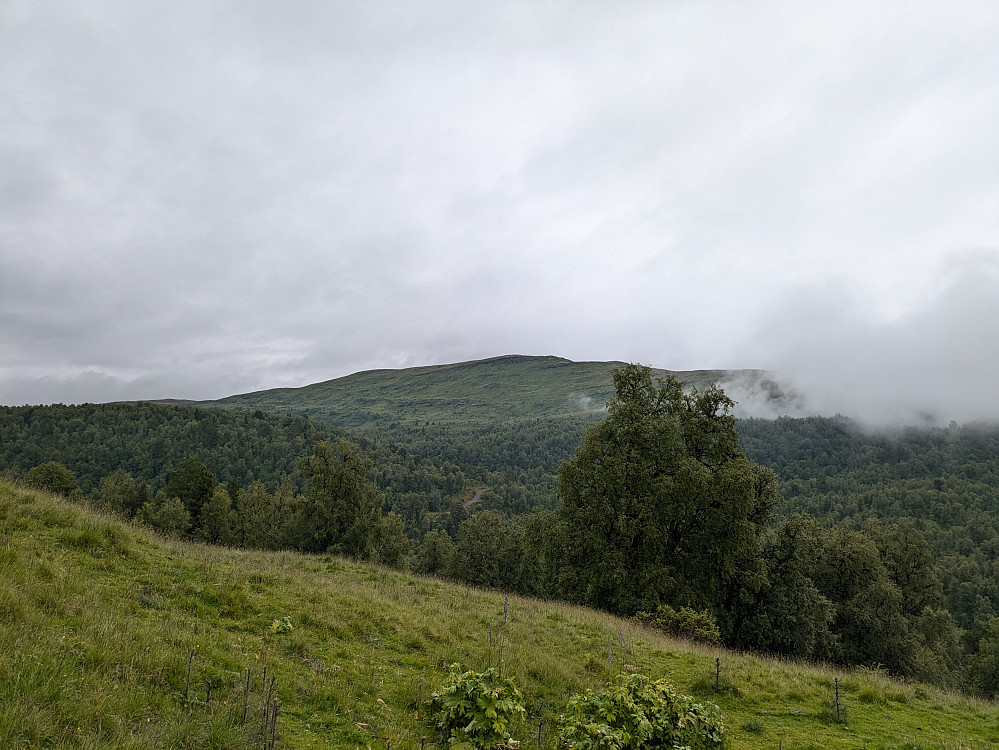 Mot Vorafjellet