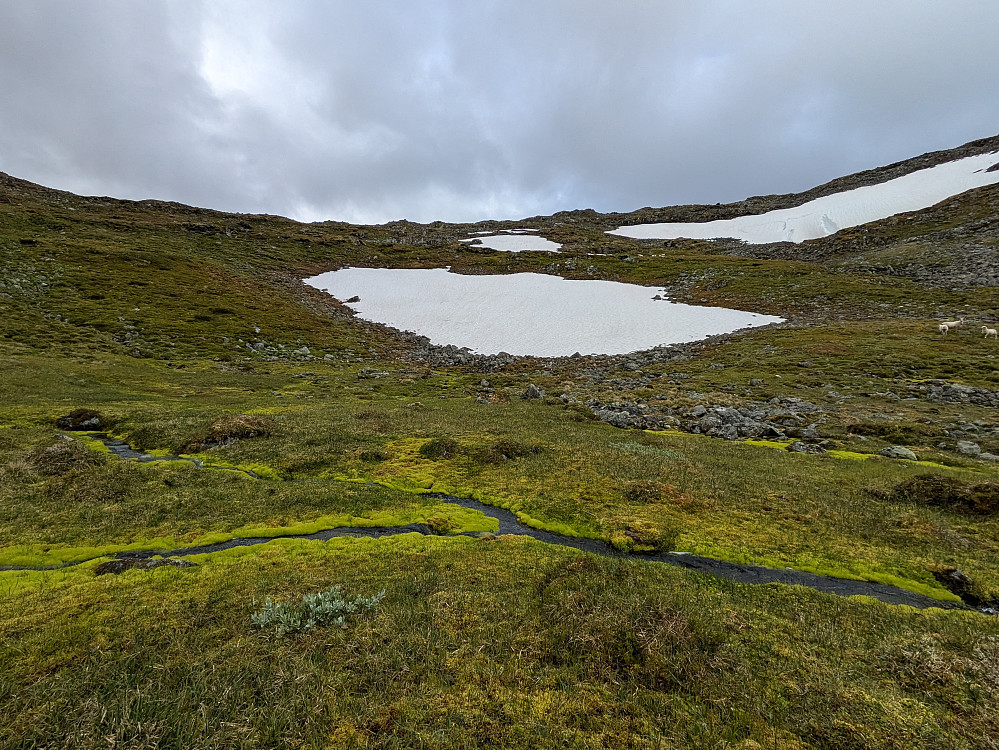Vakkert i Kvekforbotnen