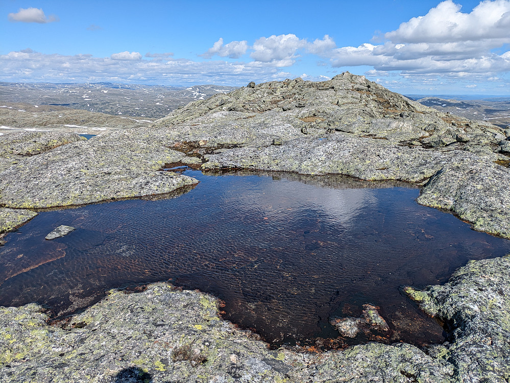 Nesten Høganosi 