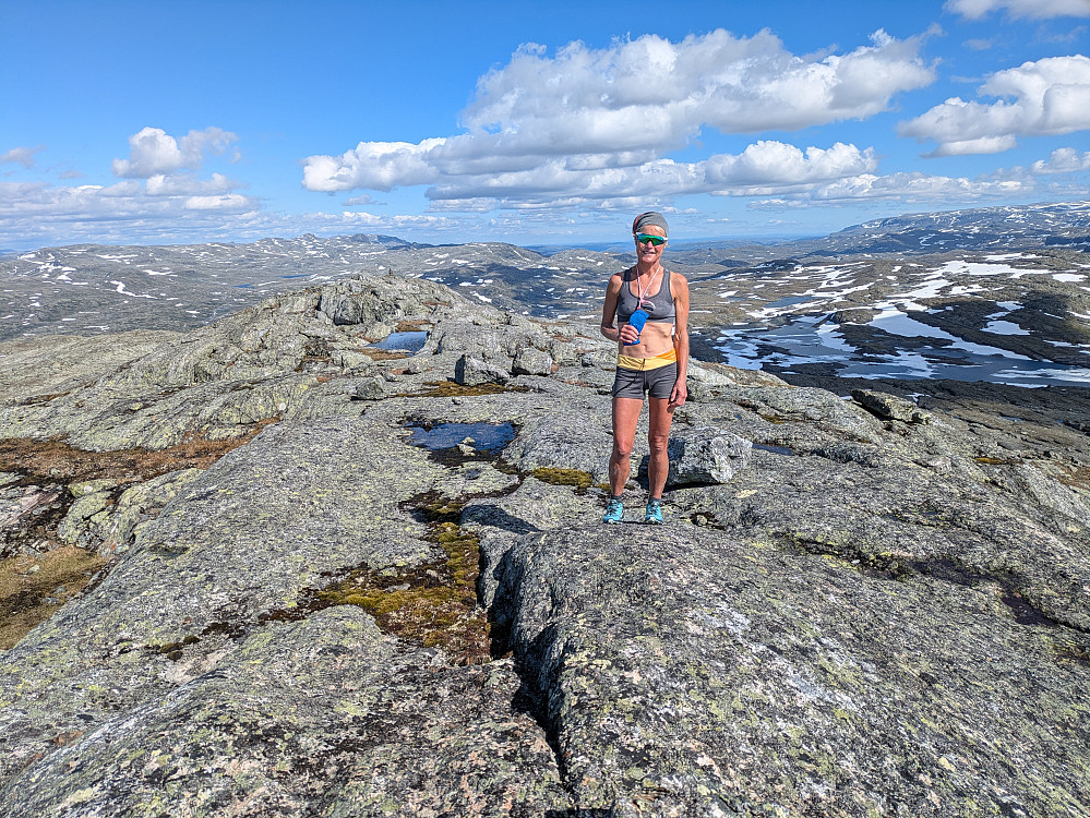 Høganosi 