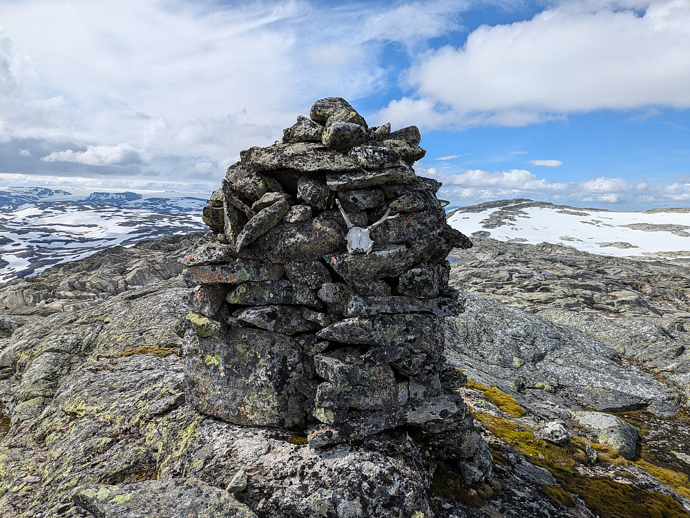 Vargabreen øst