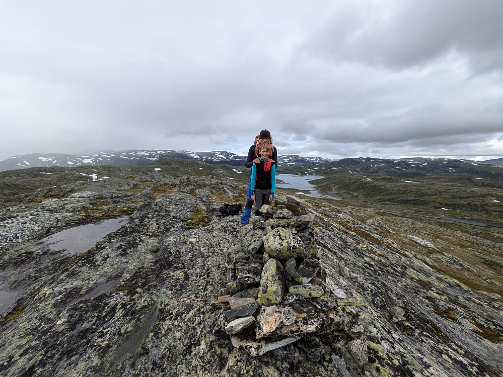 Toviknuten