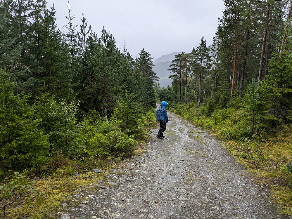 Startet med ei skikkelig bløyte av ei byge...