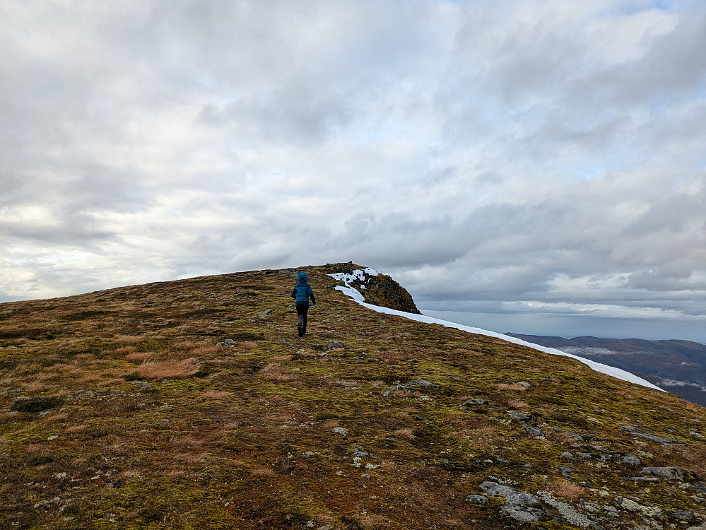 Mot Vardehornet