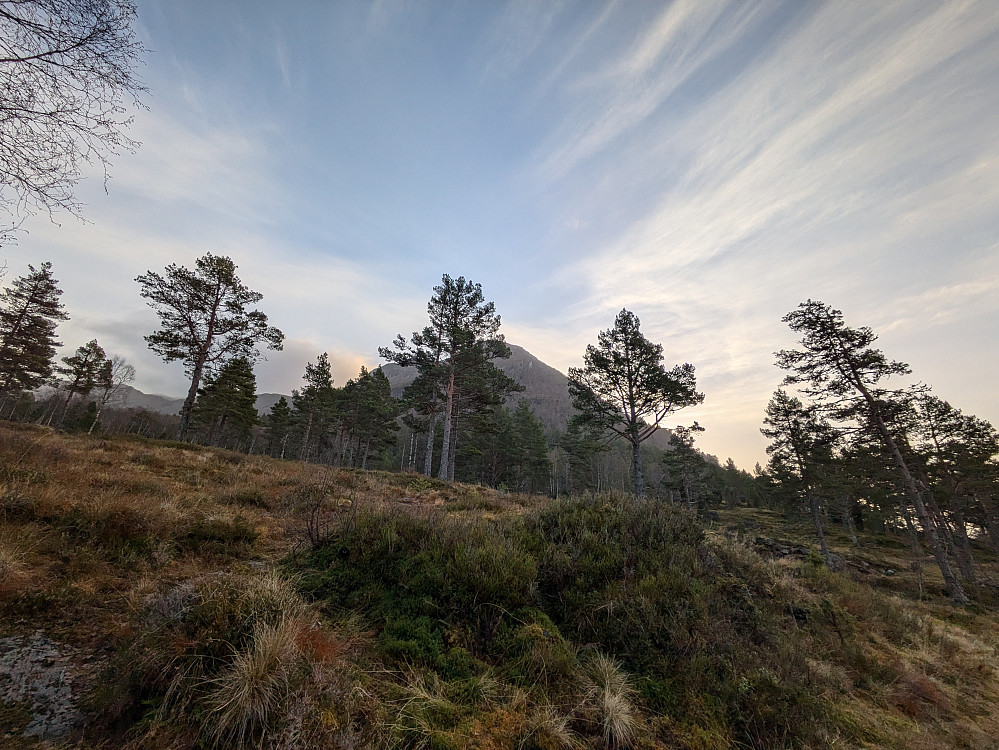 Morgenstund ved selet