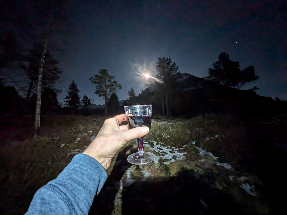 Skål for fullmånen