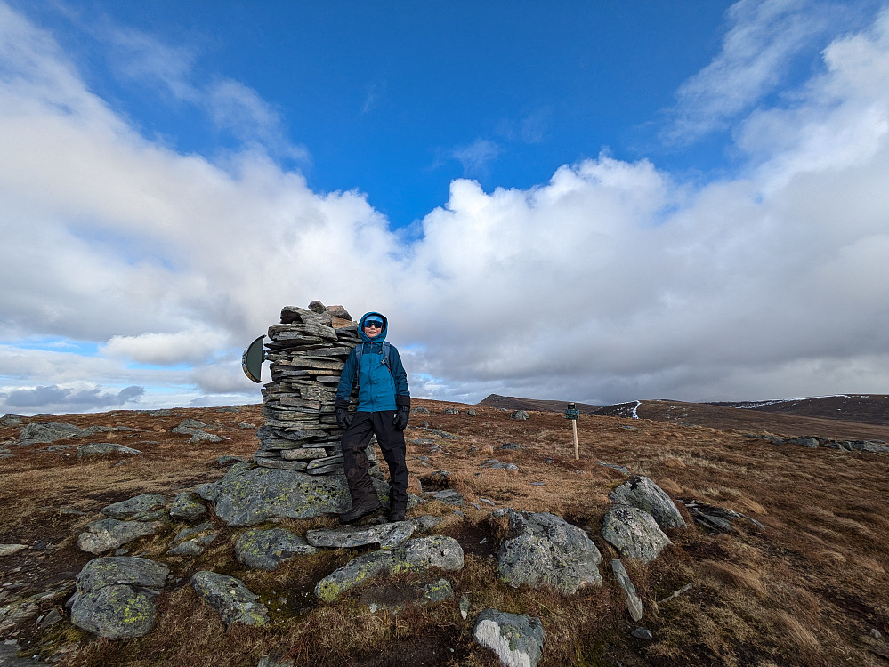 Breidfjelllet 