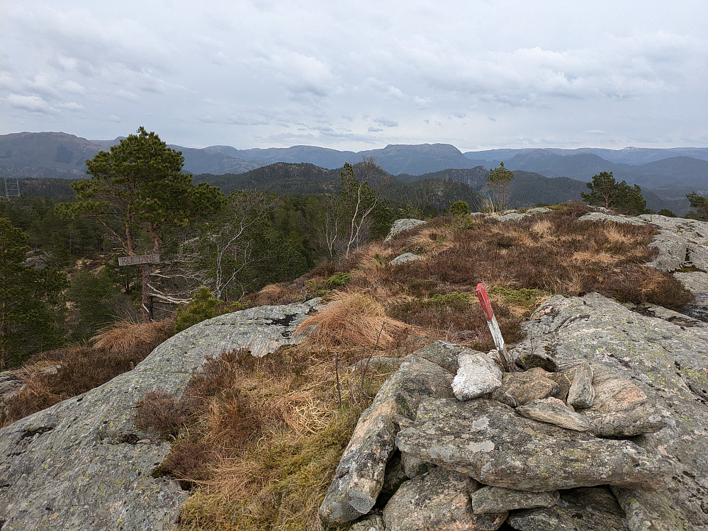 Svelikulten